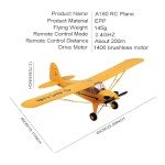 Park10 Toys A160 RC Airplane 3D6G Mode 5 Channels Stunt RC Aircraft for Adults Outdoor Remote Control Plane Model with Brushless Motor and 2 Batteries, Yellow