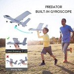 RC Plane Remote Control Airplane - 2.4Ghz 2 Channels DIY RC Predator Aircraft with 3-Axis Gyro for Beginner RC Plane with 2 Batteries, Wingspan 660mm