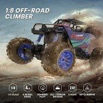 DEERC Large 1:8 Scale Upgraded RC Cars Remote Control Car for Adults Boys, Off Road Monster Truck with Realistic Sound, 2.4Ghz 4WD Rock Crawler Toy All Terrain Climbing, 2 Batteries for 80 Min Play