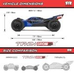 ARRMA RC Car Typhon GROM 4X4 223S BLX BRUSHLESS Small Scale Buggy RTR with DSC, Battery & Charger Included, Blue, ARA2306ST2