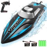 VolantexRC 2.4GHz Fast Remote Control Racing Boat