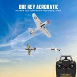 VOLANTEXRC RC Plane, 4 Channel Remote Control Airplane Fighter P40 with Aileron, 6-Axis Gyro, Aerobatics for Adults, Boys, Kids