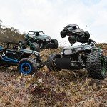 BEZGAR TB142 Remote Control Car - 1:14 Scale RC Cars, 20 Km/h 2WD All-Terrains Electric Off-Road Vehicle Truck Crawler Toy with Two Rechargeable Batteries for Boys Kids and Adults