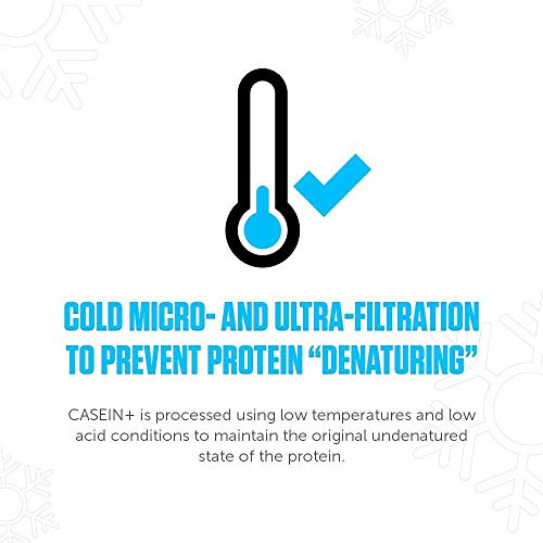Legion Casein+ French Vanilla Protein Powder