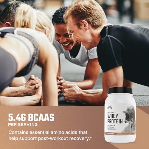 Grass-Fed Whey Protein Pure Chocolate 24G 2LB
