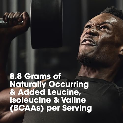 Hydrolyzed Whey Protein Isolate Powder, Turbo Chocolate Flavor