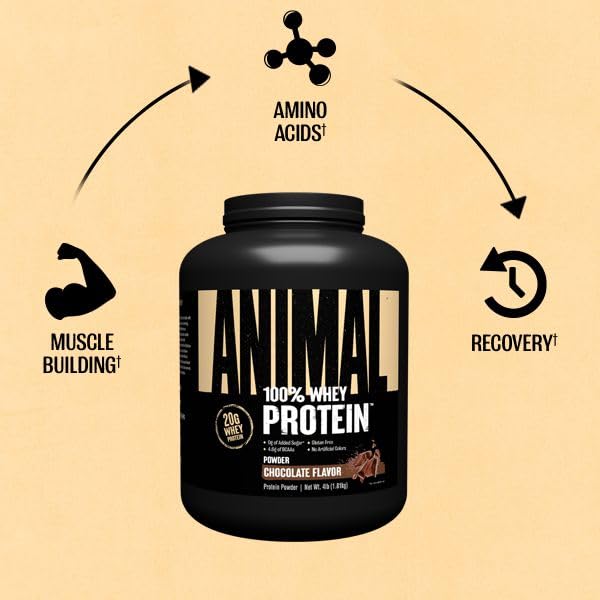 Animal 100% Whey Protein Powder - Low Sugar Chocolate