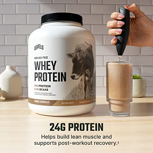 Grass Fed Whey Protein, Hormone-Free, Double Chocolate, 5LB