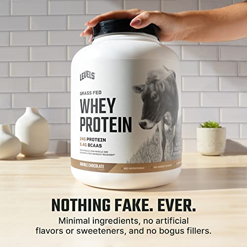 Grass Fed Whey Protein, Hormone-Free, Double Chocolate, 5LB