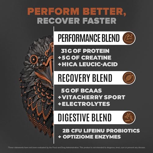 Birdman Falcon Vegan Protein Powder - 31g Protein