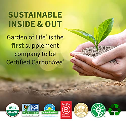 Organic Vegan Vanilla Protein Powder - 22g Plant-Based
