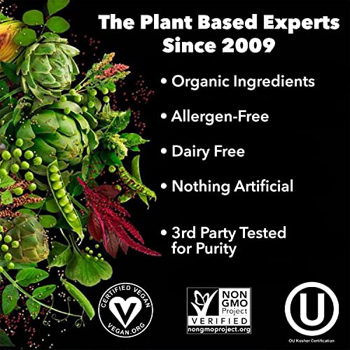 PlantFusion Vegan Protein Powder - Vanilla Bean 2 lb