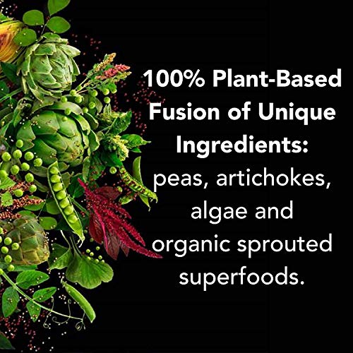 PlantFusion Vegan Protein Powder - Vanilla Bean 2 lb