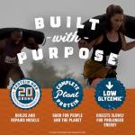 CLIF Builders Protein Bars - Chocolate Peanut Butter