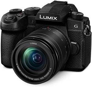Panasonic LUMIX G95D Mirrorless Camera Kit