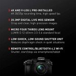 Panasonic LUMIX G95D Mirrorless Camera Kit