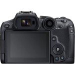 Canon EOS R7 Mirrorless Camera for Wildlife Photography