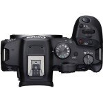 Canon EOS R7 Mirrorless Camera for Wildlife Photography