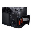 Canon EOS R7 Mirrorless Camera for Wildlife Photography