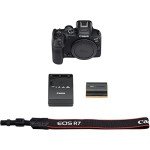 Canon EOS R7 Mirrorless Camera for Wildlife Photography