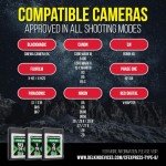 Delkin 2TB CFexpress Type B Memory Card
