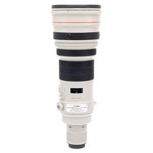 Canon EF 600mm f/4 IS Lens