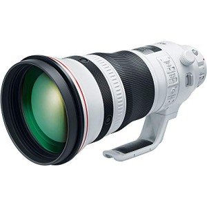 Canon EF 400mm f/2.8L III USM Lens
