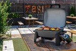 Portable Propane Grill for Outdoor Adventures