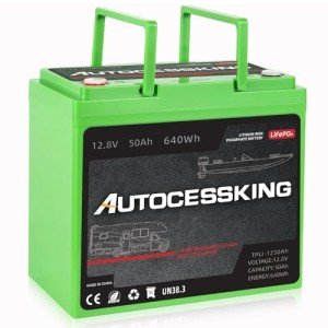 50Ah LiFePO4 Lithium Battery with Smart BMS
