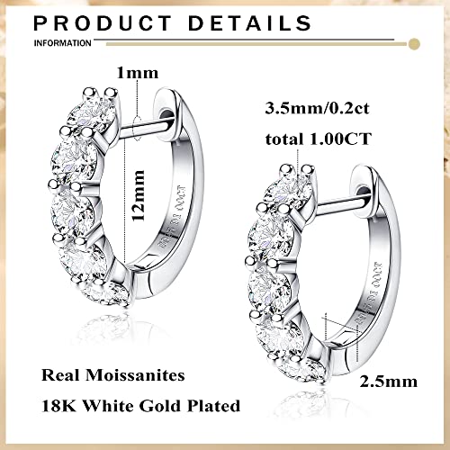 2.0ct D Color Moissanite Hoop Earrings White Gold