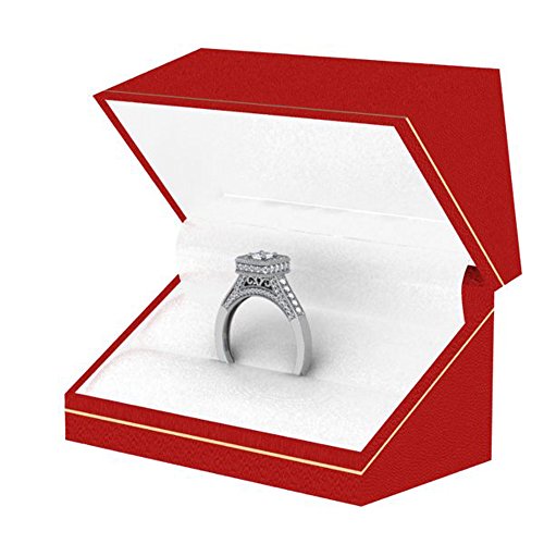 0.85ctw Princess & Round Diamond Halo Engagement Ring