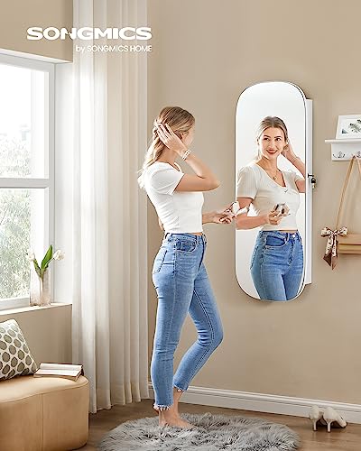 LED Jewelry Cabinet Wall/Door Mounted Organizer, Lockable Mirror