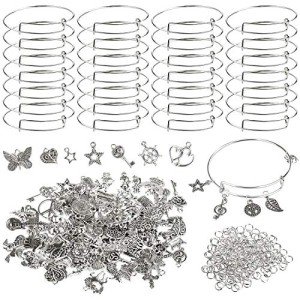 DIY Charm Bracelet Kit with 100 Charms & Rings
