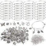 DIY Charm Bracelet Kit with 100 Charms & Rings