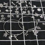 DIY Charm Bracelet Kit with 100 Charms & Rings