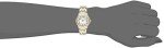 Citizen Eco-Drive Two-Tone Gold Women’s Watch