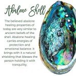 Abalone Teardrop Necklace with Tree of Life