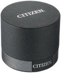 Citizen Two-Tone Stainless Steel Women's Watch