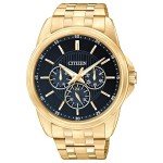 Citizen Gold-Tone Stainless Steel Men’s Watch