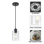 Stylish Black Glass Pendant Light – 2 Pack