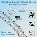 Adjustable Prong Collar for Dogs with Extra Links