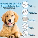 Adjustable Prong Collar for Dogs with Extra Links