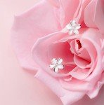 Silver Plumeria Flower Stud Earrings with Crystals
