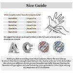925 Sterling Silver Charm Bracelet for Women