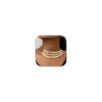 Chunky Gold Statement Necklace for Women