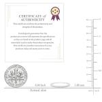 Minimalist 10K White Gold Diamond Wedding Band