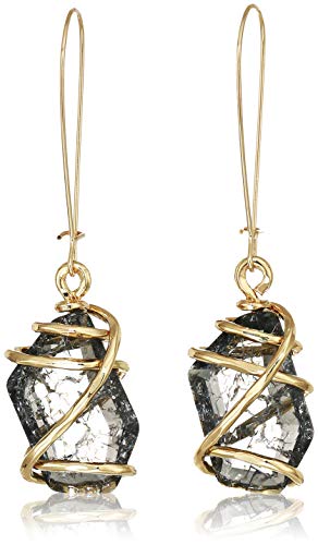 Black Caged Stone Dangle Earrings by Robert Lee Morris