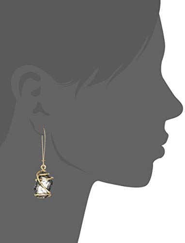 Black Caged Stone Dangle Earrings by Robert Lee Morris
