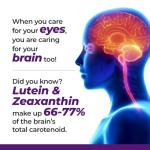 AFC Ultimate Vision PRO Eye Formula, 30ct