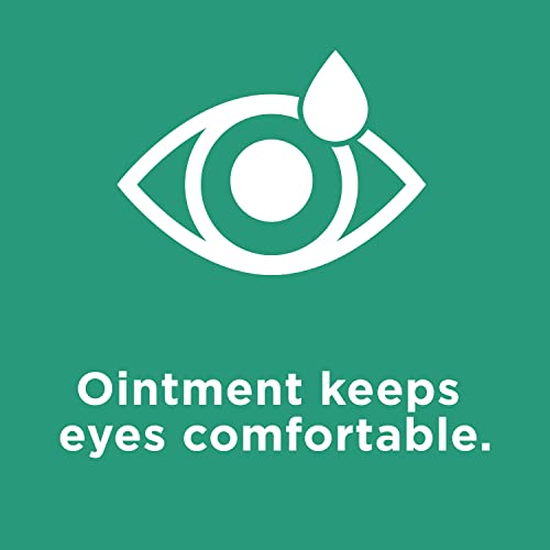 Systane Eye Ointment - Nighttime Relief